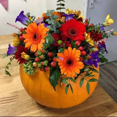 Halloween Pumpkin Display